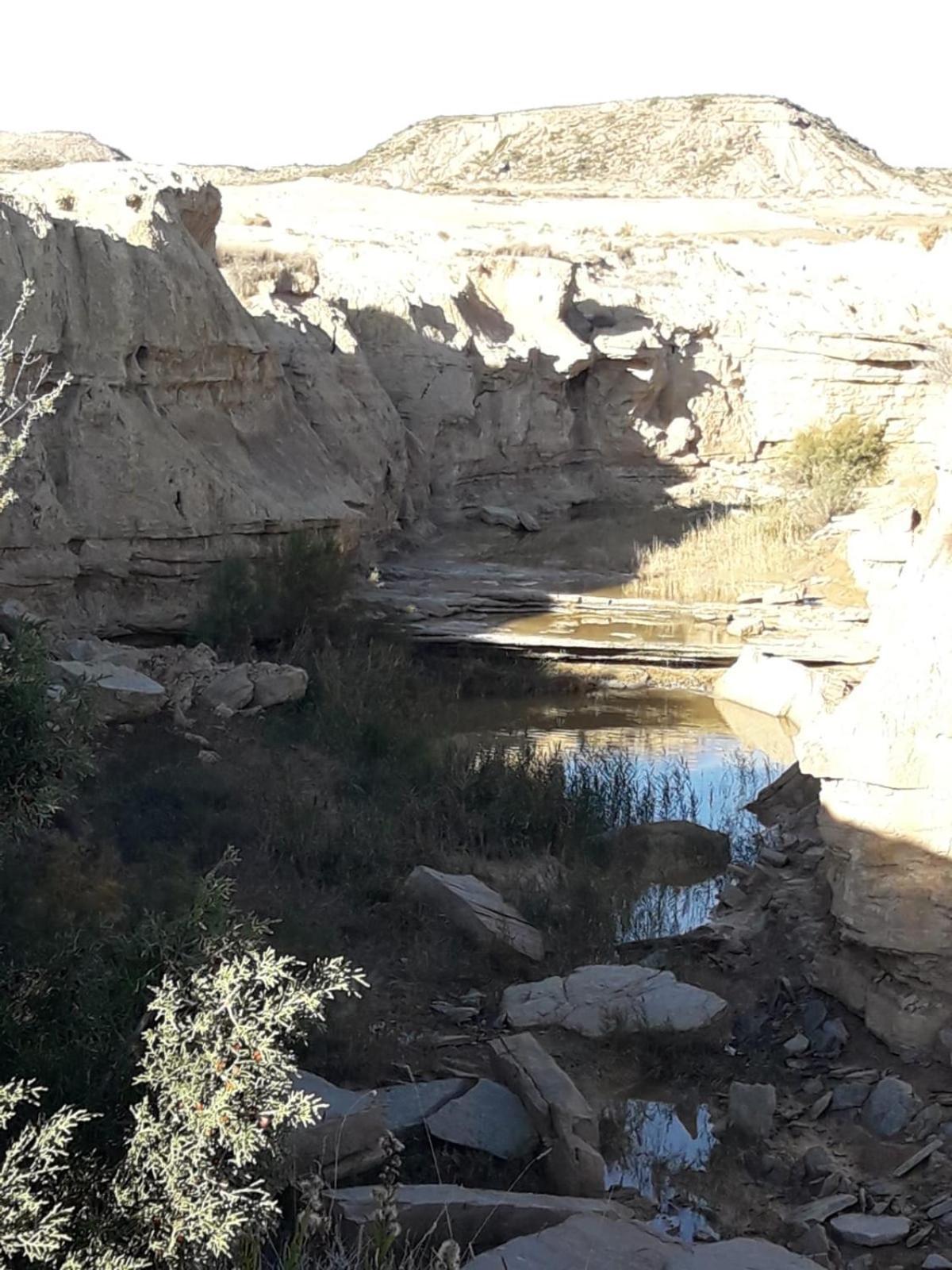La Manguita Bardenas Villa Arguedas Eksteriør billede